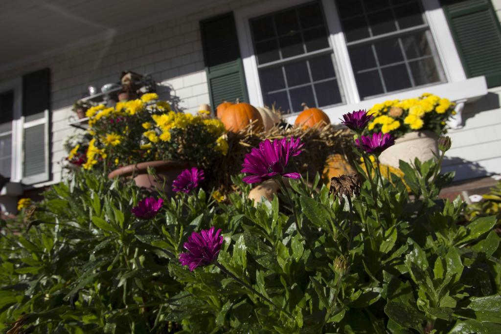 Golden Gables Inn ノース・コンウェー エクステリア 写真